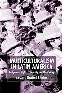 e-Book Multiculturalism in Latin America: Indigenous Rights, Diversity and Democracy download